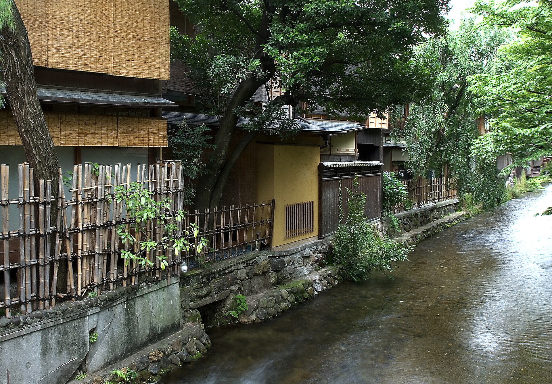 Townhouses and greenery along the Shirakawa in Gion