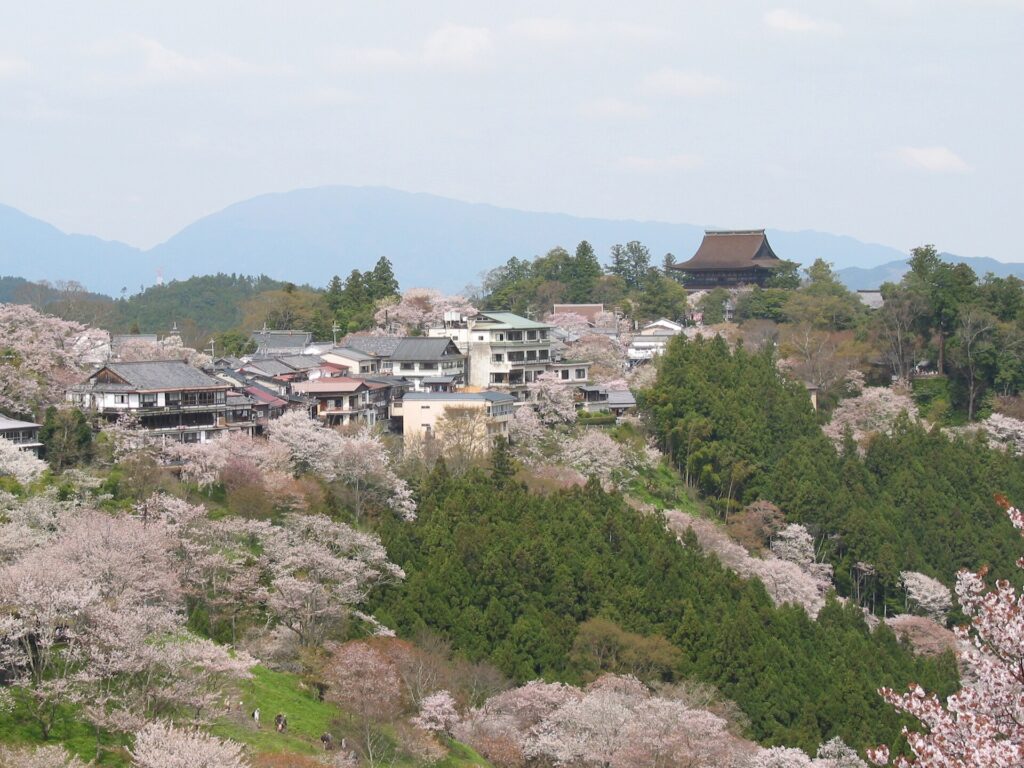 Kinpusen-ji's Zaodo hall seen through cherry blossoms on Mount Yoshino