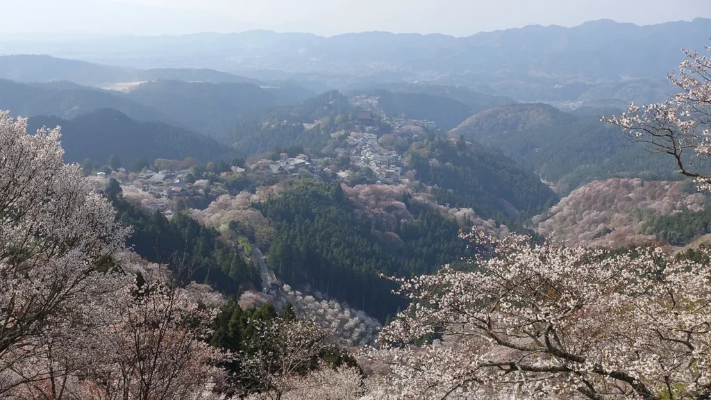 Cherry blossoms covering the slopes of Mount Yoshino