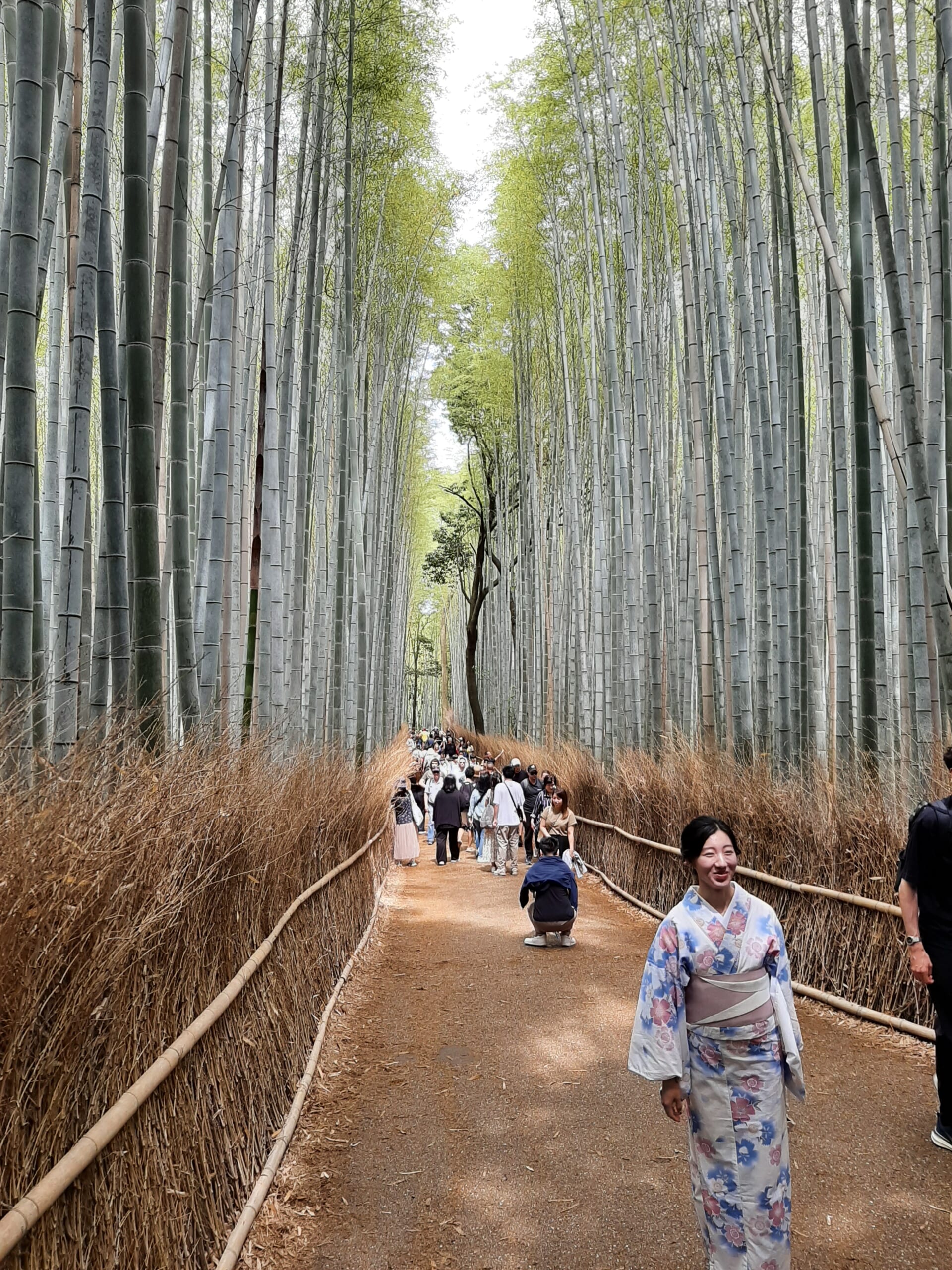 People walking through Arashiyama’s tall bamboo grove