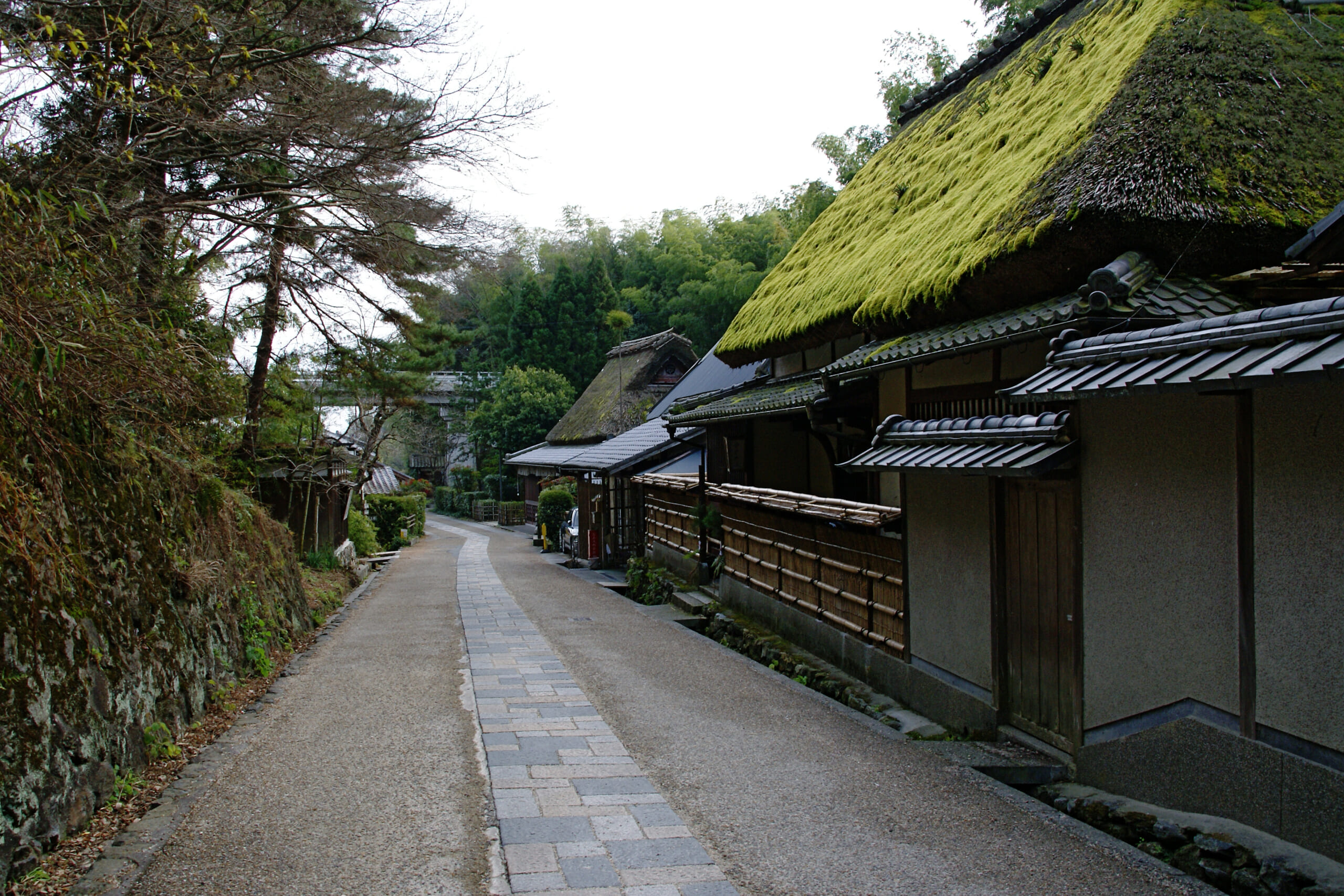 A street of old houses and thatched roofs in Saga Toriimoto