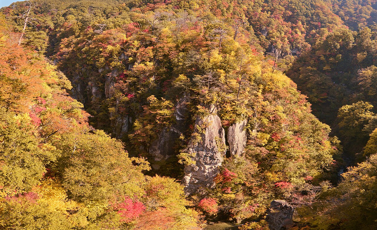 Red and yellow autumn foliage along the cliffs of Naruko Gorge
