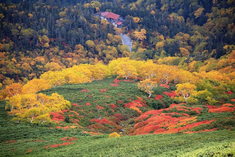 Autumn colours on Norikura’s slopes above the road near Kuraigahara Sanso