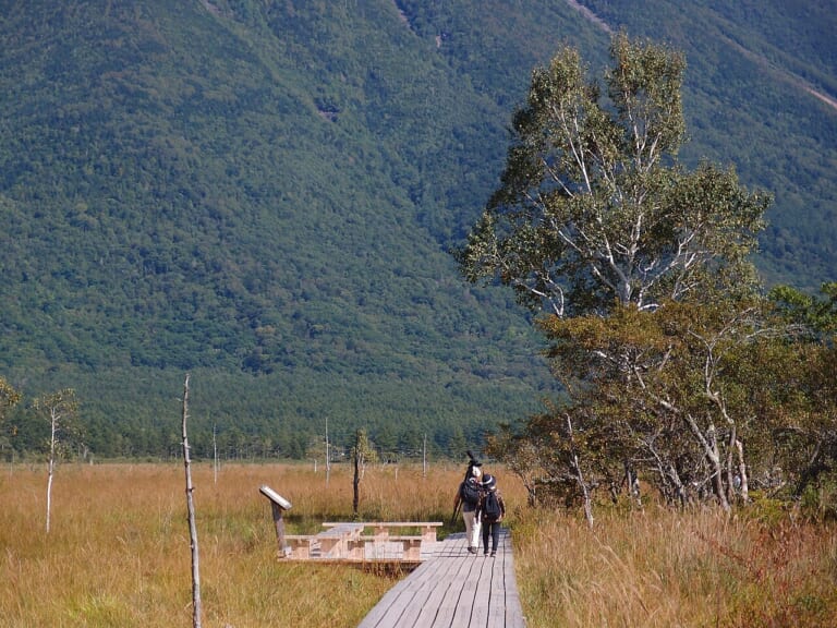 A boardwalk across Senjogahara’s golden grassland with mountains beyond