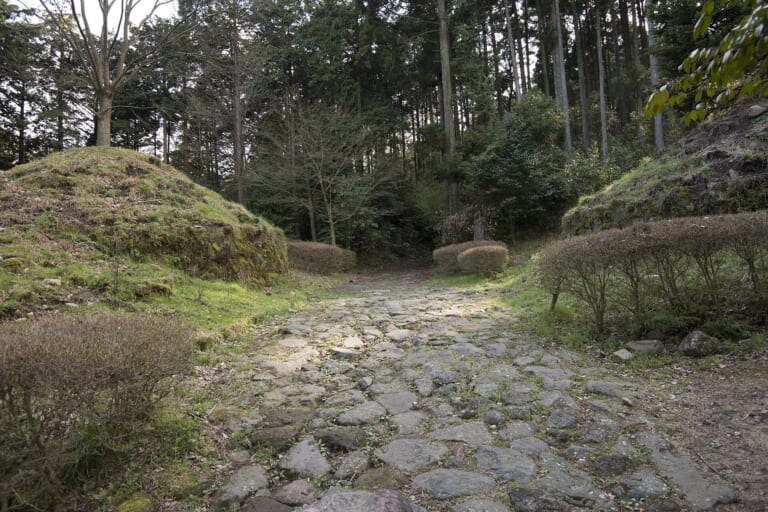 The old stone-paved Tokaido path in the forest near Hatajuku