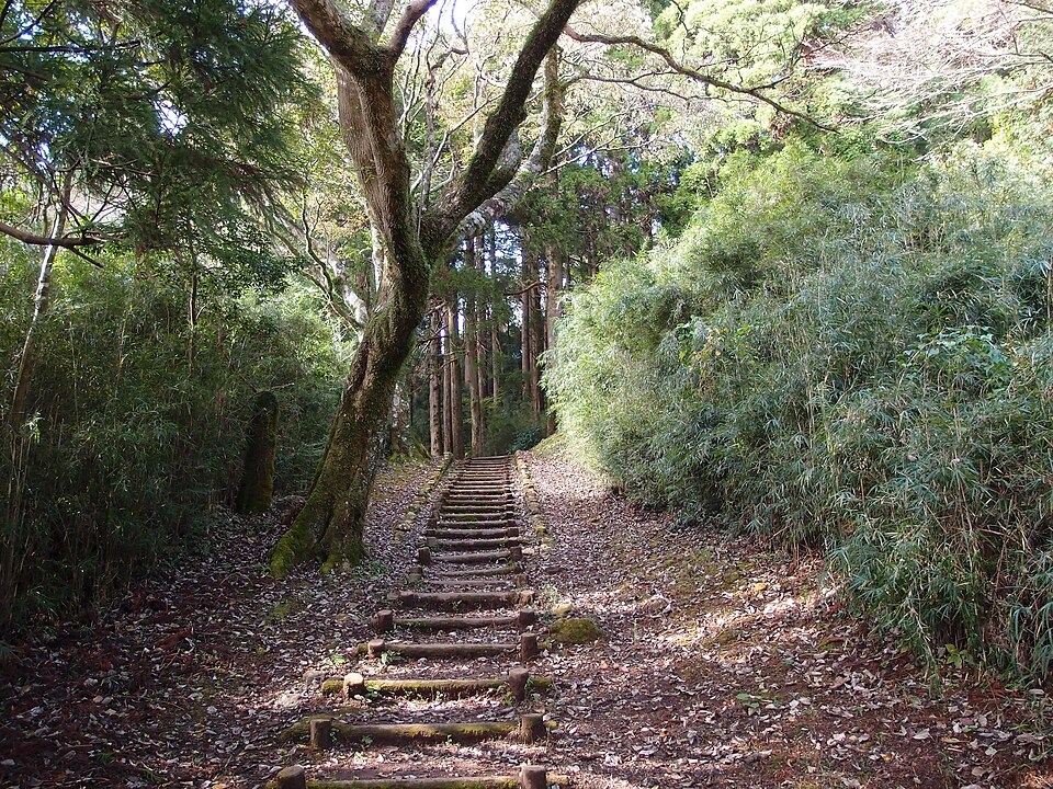 Stone steps and trees at Onshi-Hakone Park