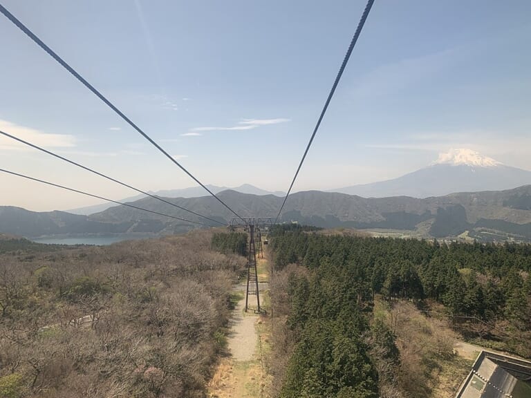 Forest and ropeway equipment seen from the Hakone Ropeway