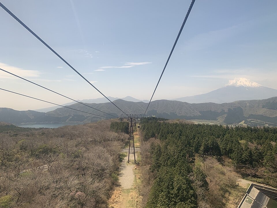 Forest and ropeway equipment seen from the Hakone Ropeway