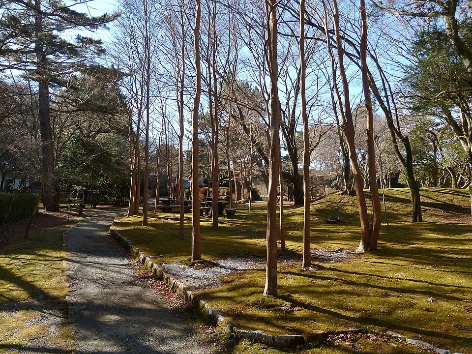 A walking path through the park’s stewartia trees
