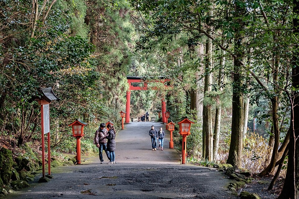 Hakone Shrine approach between trees and stone lanterns