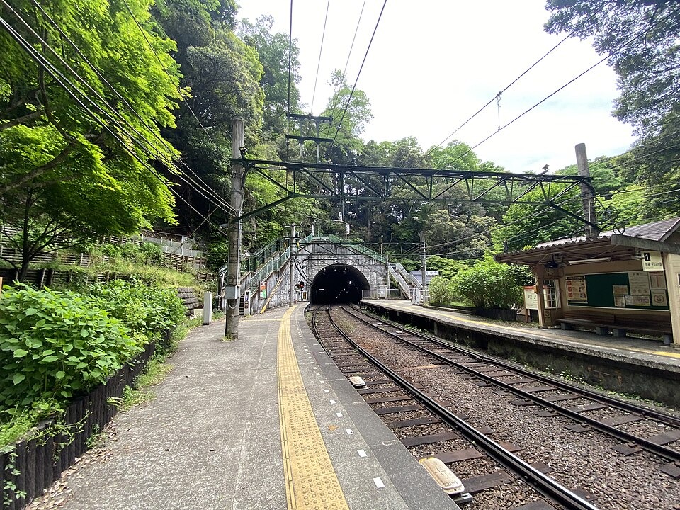 Tonosawa Station on the Hakone mountain railway, surrounded by trees
