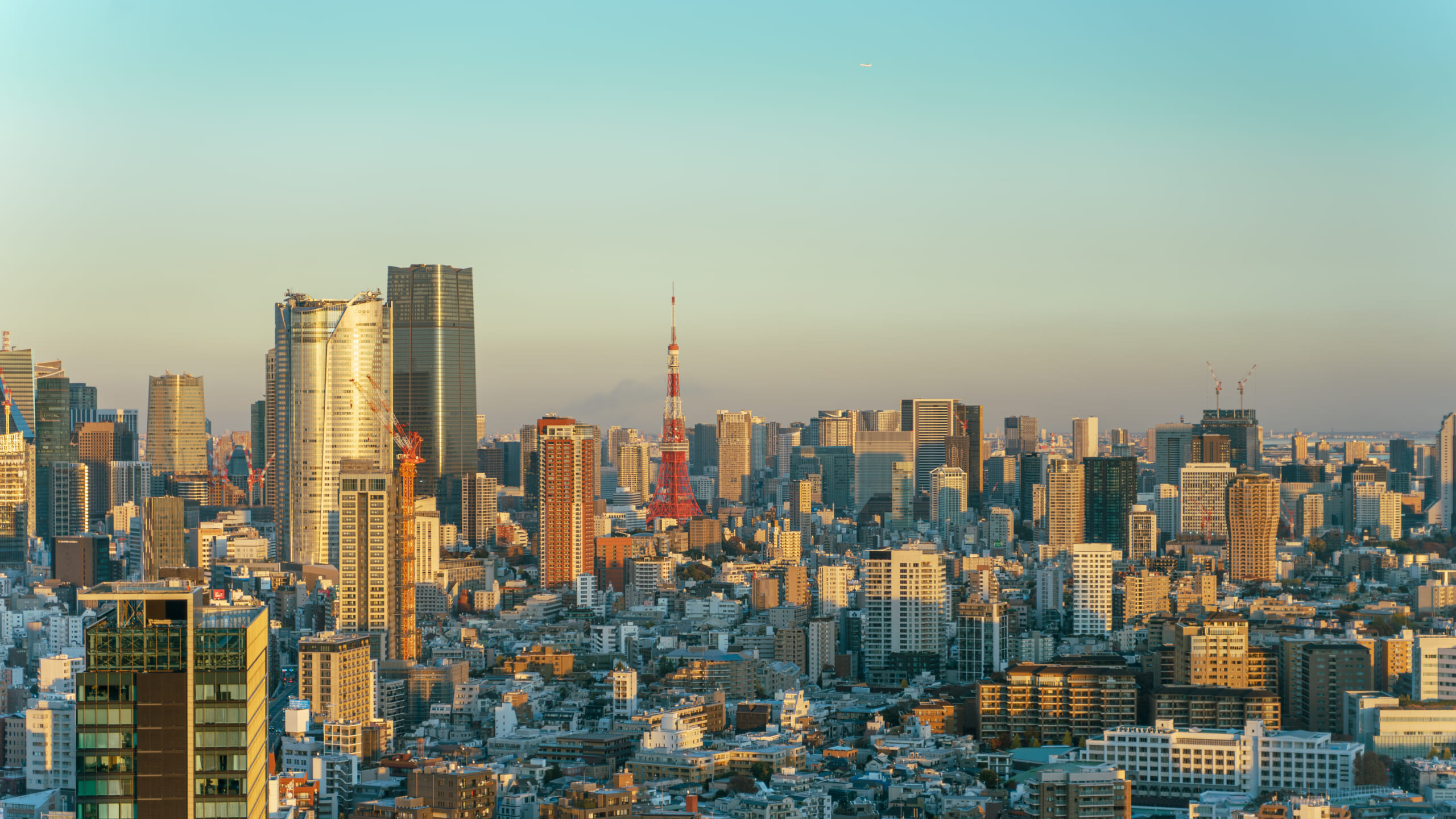 Tokyo Tower and the city skyline at dusk