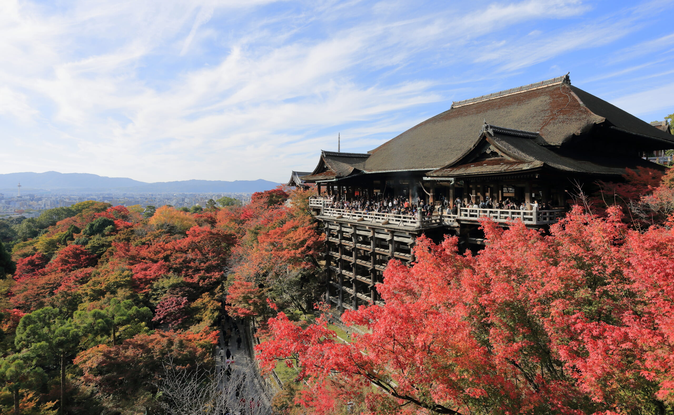 Kiyomizu-dera temple surrounded by autumn foliage in Kyoto