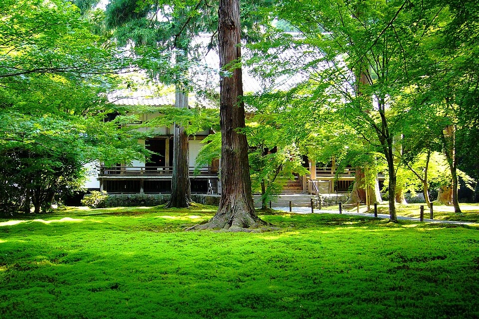 Moss and green trees in Yusei-en Garden at Sanzen-in