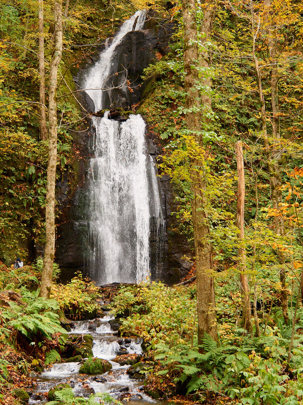 Kumoi Falls framed by yellow autumn foliage in Oirase Gorge