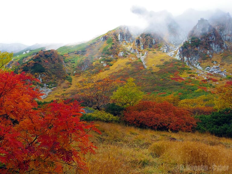 Red and golden autumn vegetation below cloud-covered rock walls at Senjojiki Cirque
