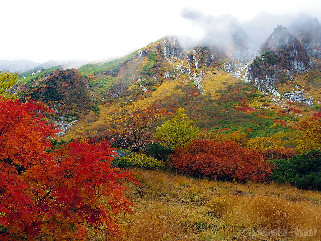 Red and golden autumn vegetation below cloud-covered rock walls at Senjojiki Cirque