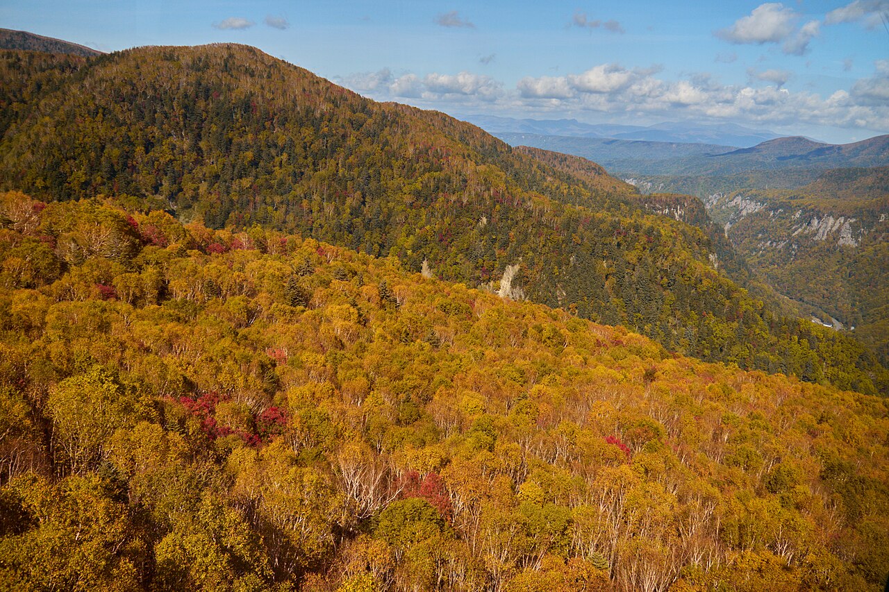 Golden autumn forest across the slopes and valley around Kurodake