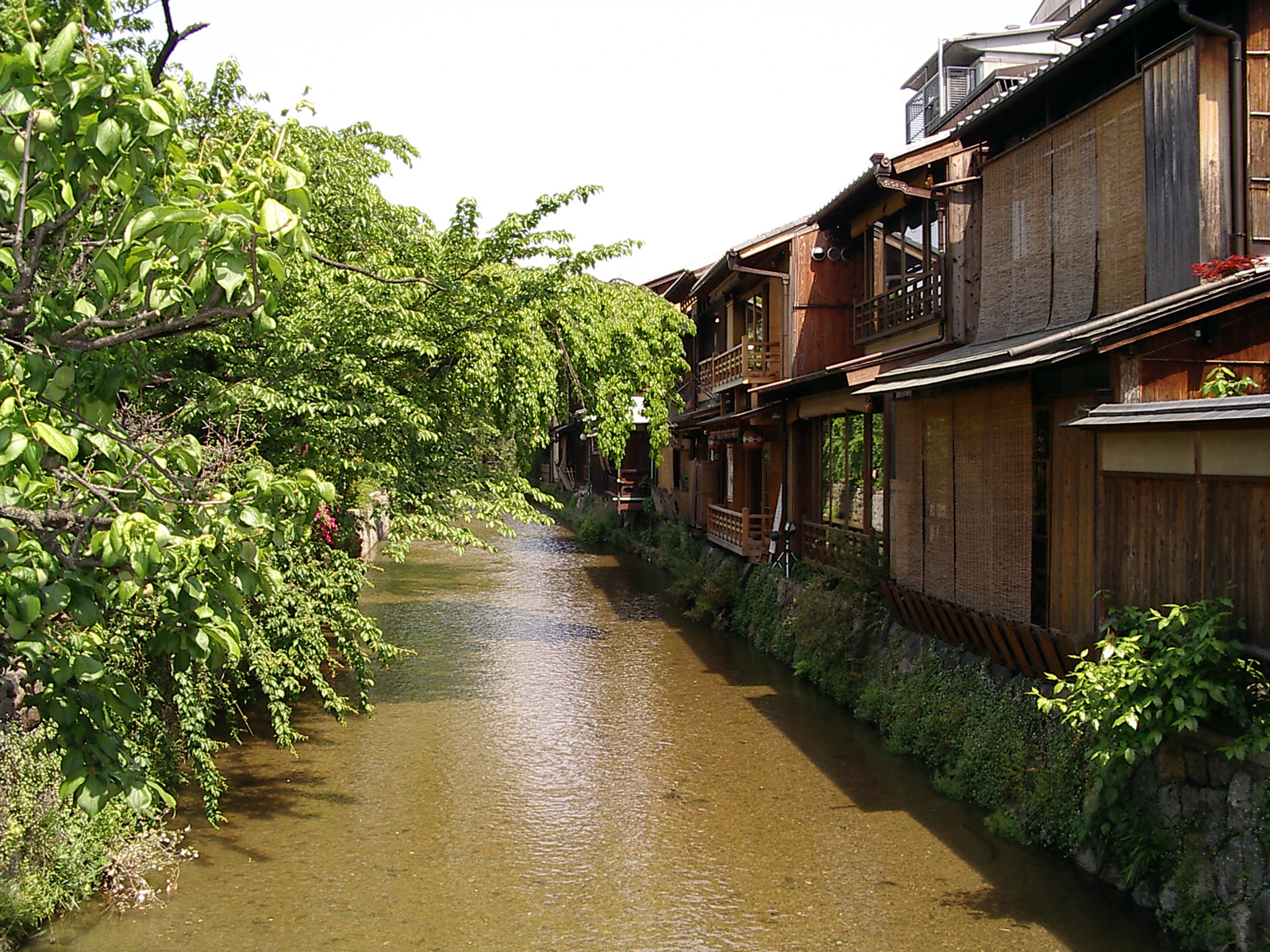 Wooden buildings beside the Shirakawa canal in Gion, Kyoto