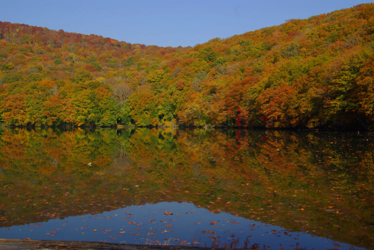 Autumn forest and blue sky reflected in the still water of Tsutanuma Pond